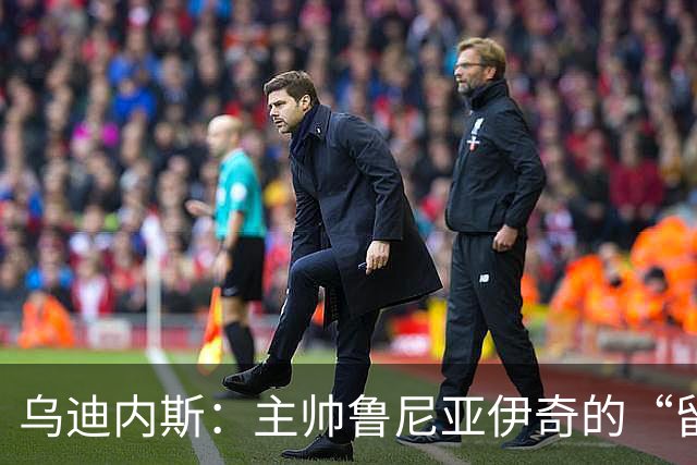 乌迪内斯：主帅鲁尼亚伊奇的“留任大考